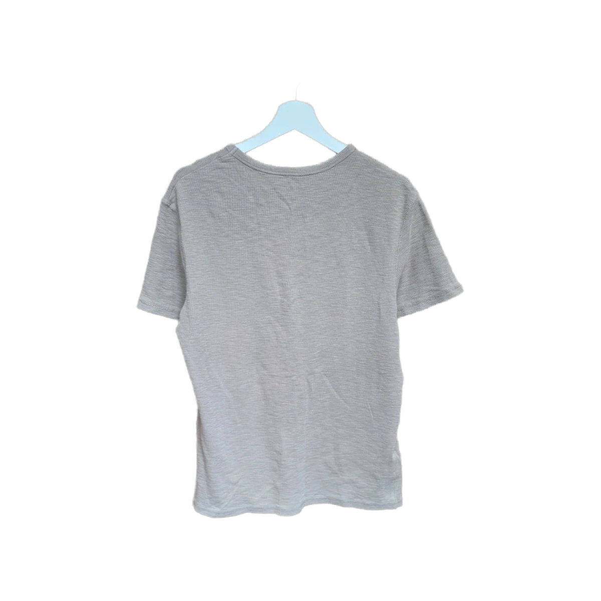 AllSaints Ramskull Embroidered T-Shirt Sand Grey view 2