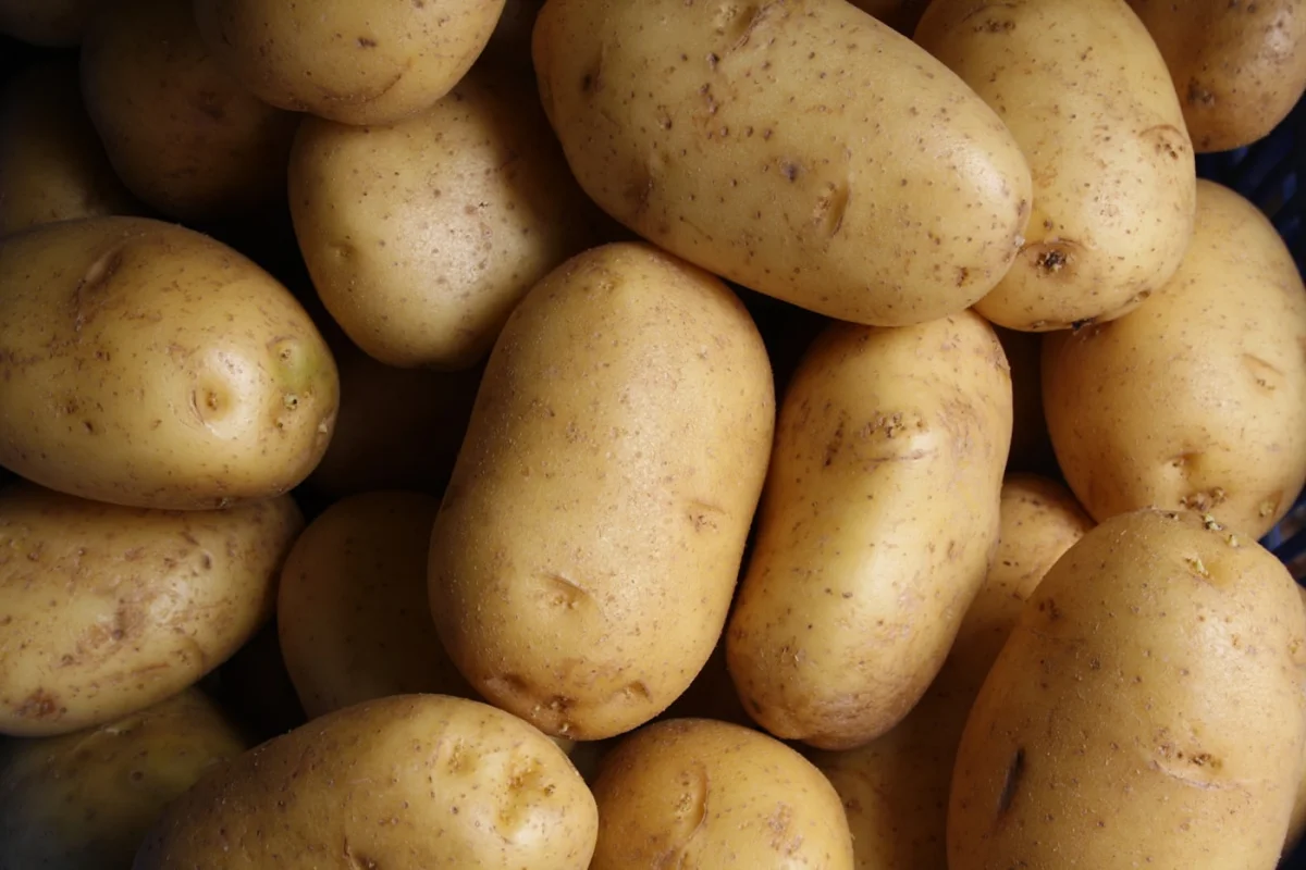 Maincrop Potatoes, 25kg
