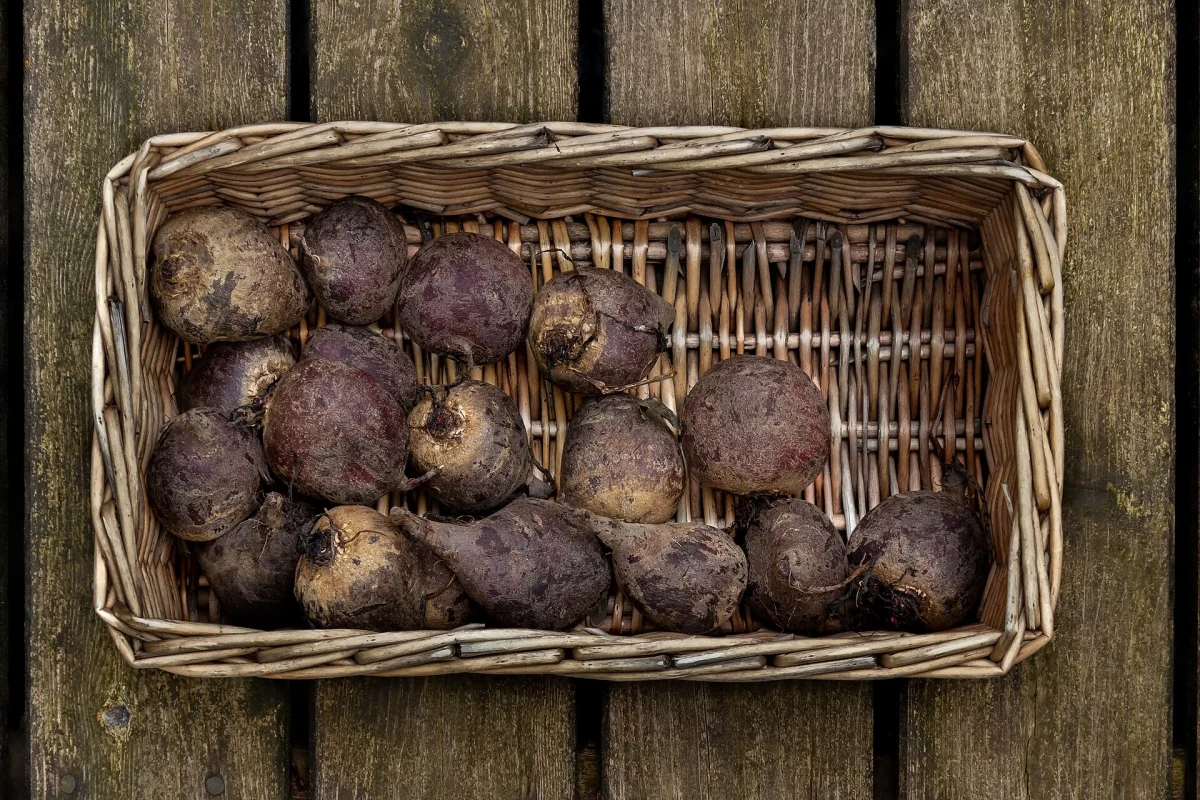 Beetroot, 8kg Crate